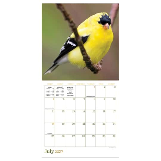 2027 Backyard Birds Mini Calendar